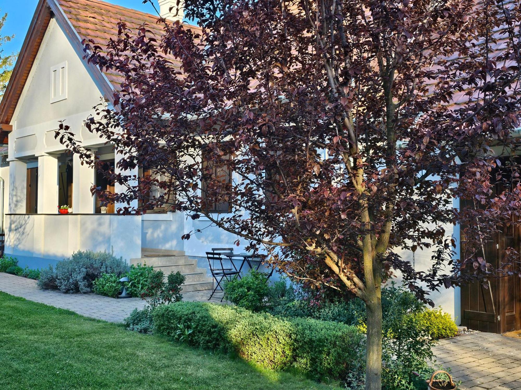 Kalium Vendeghaz Apartment Mindszentkalla